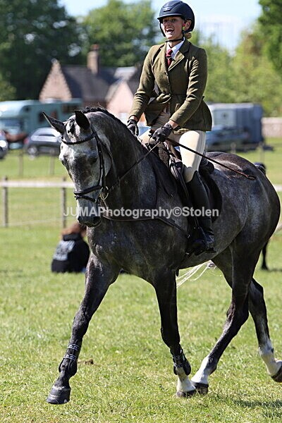 IMG_4591 - Working Hunter