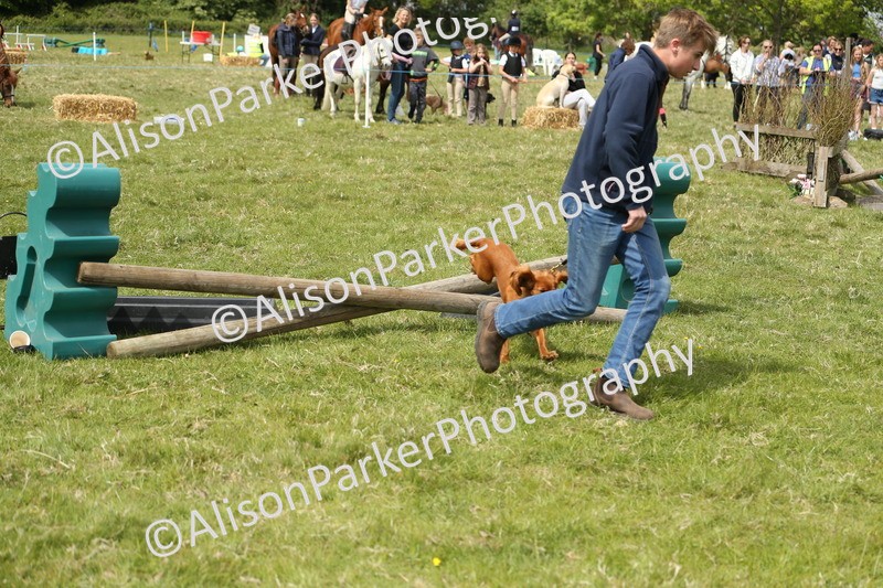 20250517-2958 - Class 25 - Horse & Hound