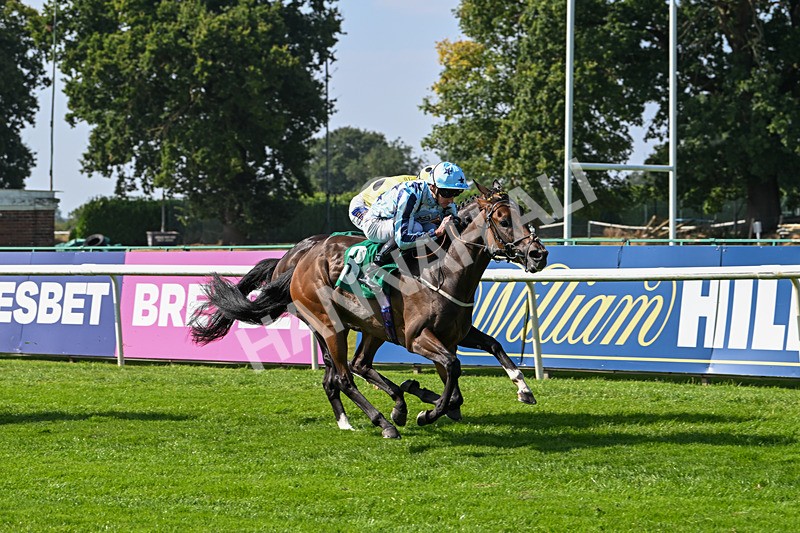 300824-Race 3-Cerulean Bay-5839 - Race 3