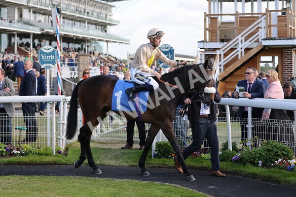 yr12052022r6-10 - Race 6 4.45pm Frank Whittle Partnership EBFstallions.com Maiden Stakes