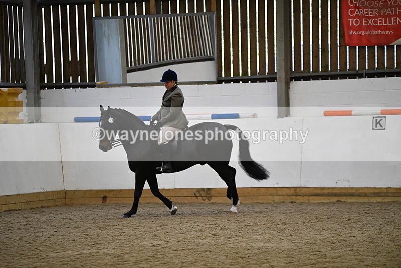 WJ5_6090 - Class 9 Ridden Veteran