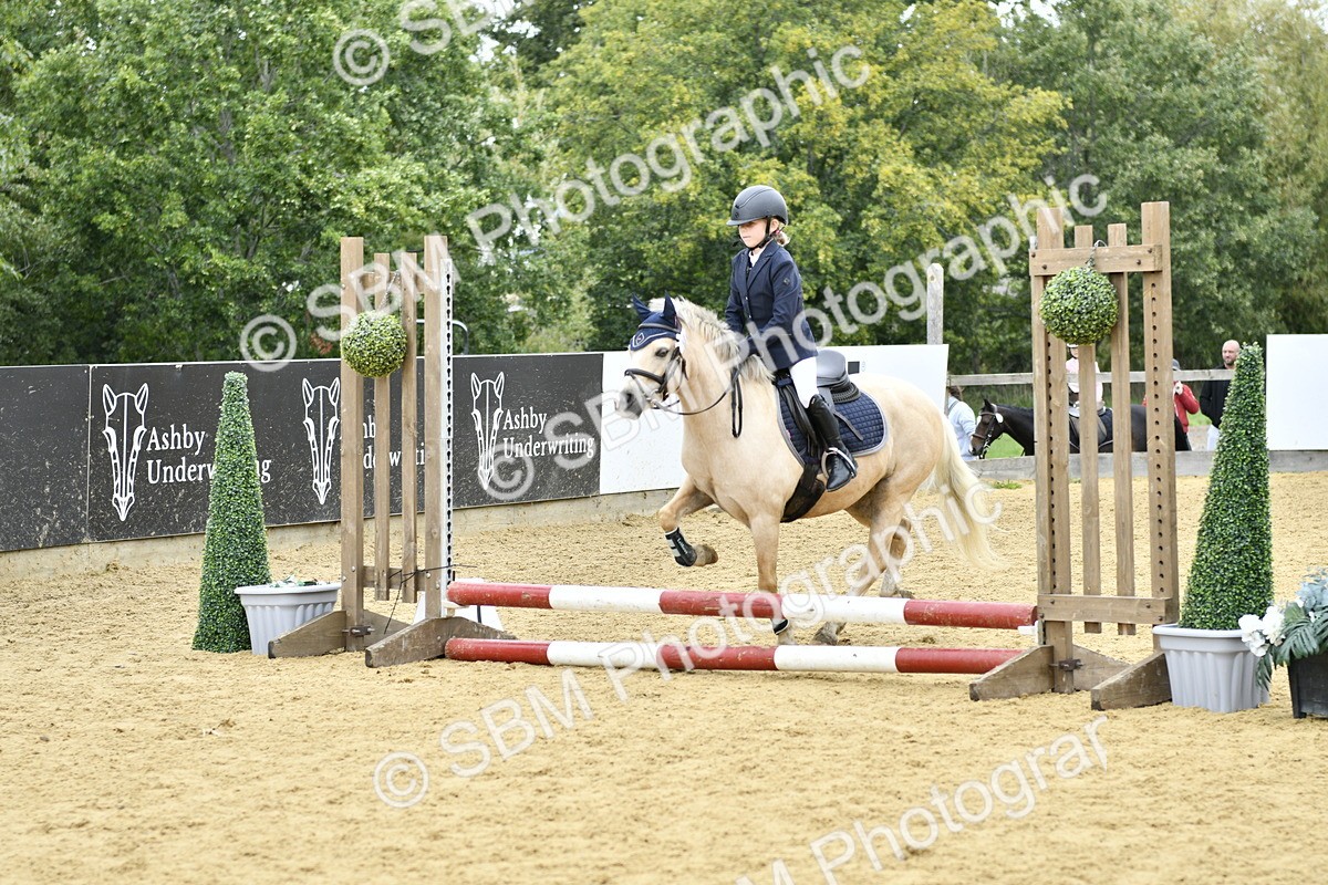 SBM_65509 - J2a mini Tour Junior Pony 30cm Championship