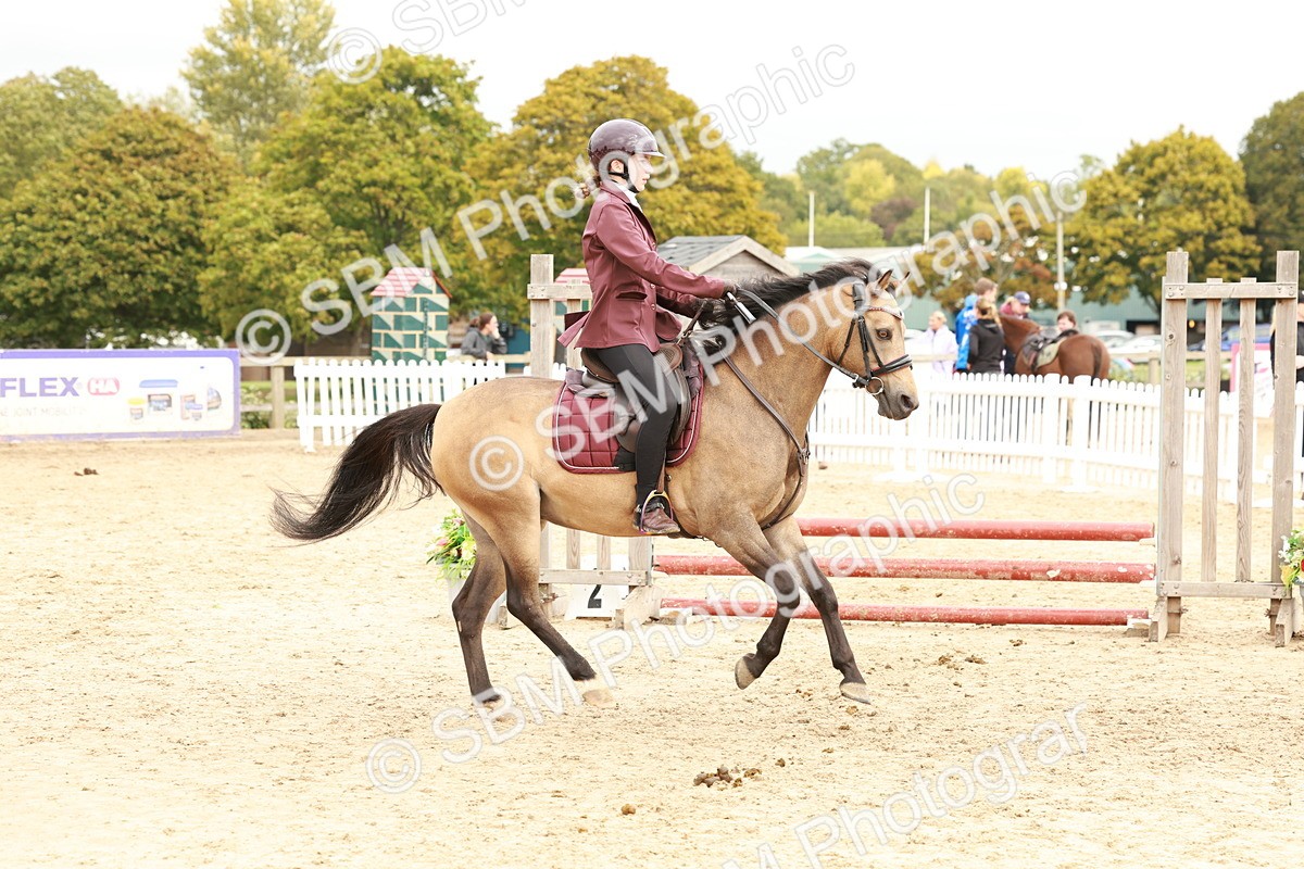 SBM_63694 - J12 - Junior Pony 55cm Championship