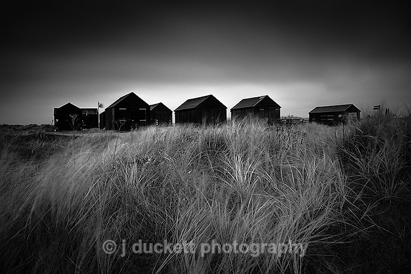  - Peer into the Darkness (coast)