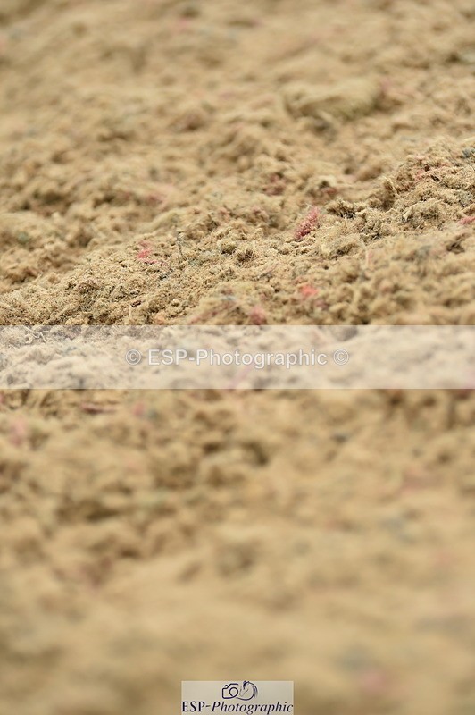 230720A-152428-03491 - Cls 17, 1 Star Silver 1.20m