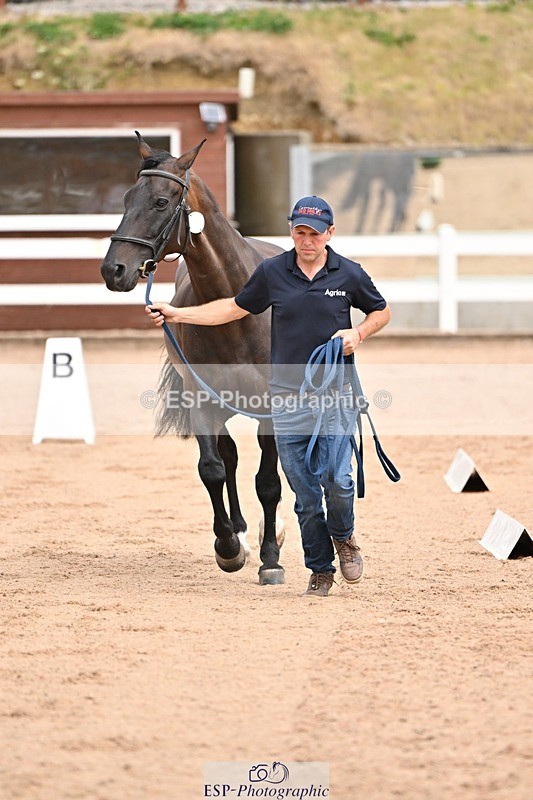 250716-150748-01658 - Trot Up 2.30 to 3.30