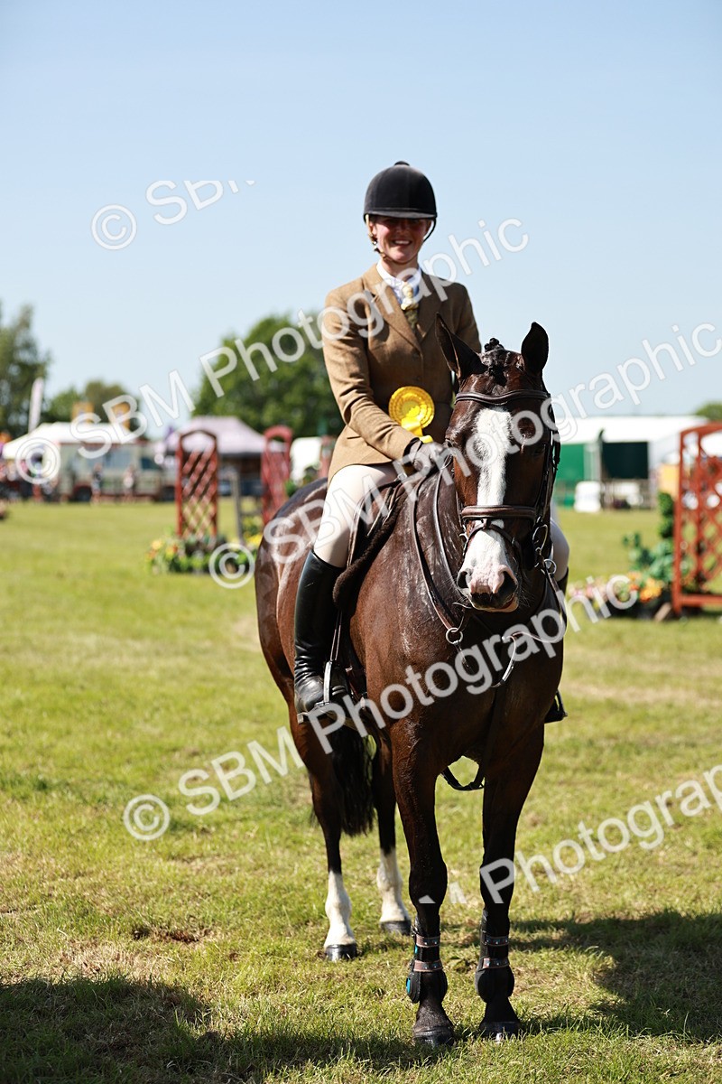 SBM_18468 - Class 112-113 - BSPS LIHS Working Sports Pony