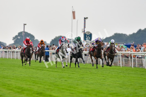 100923-Pony Race 2-Its Fatherted-1681 - Pony Race 2 12.45 The Dragon (TV and Film) Studios Pony Race 148cm & Under