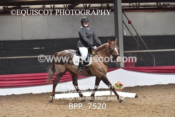 BPP_7520 - INTRO TEST 2