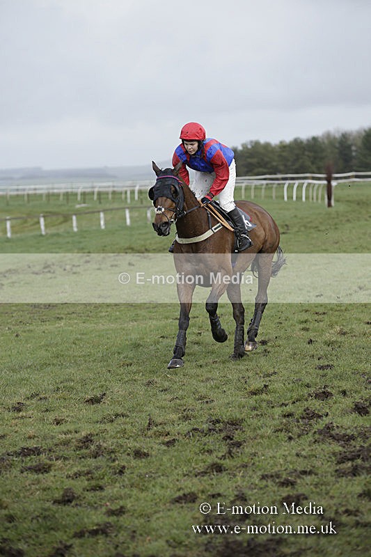 PtP 150320 0442 - New Forest Point-to-Point Larkhill 15/03/20