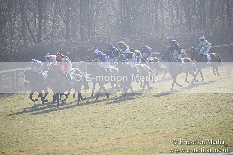 PtP 230219 39 - Vine & Craven Point-To-Point - Barbury 23/02/19