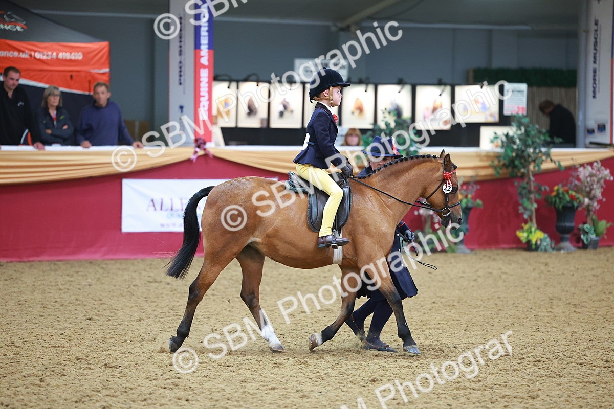 SBM_09684 - Class 102 - HOYS Veteran Qualifier - Ridden Veteran