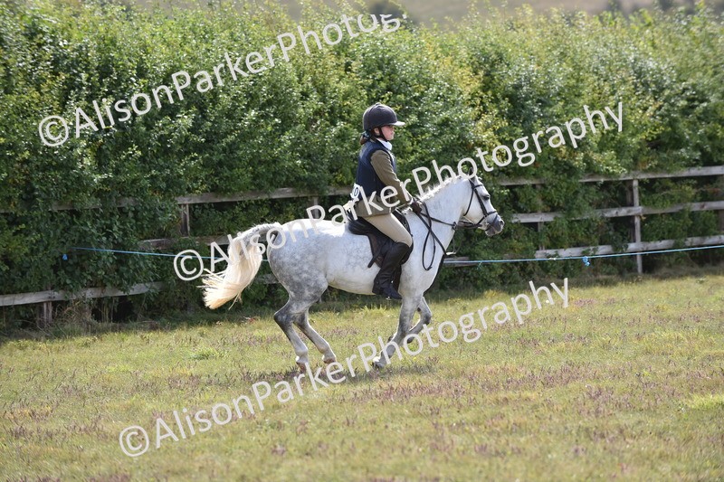 20250831-3949 - Class 11 - Working Hunter Pony 13hh and Under