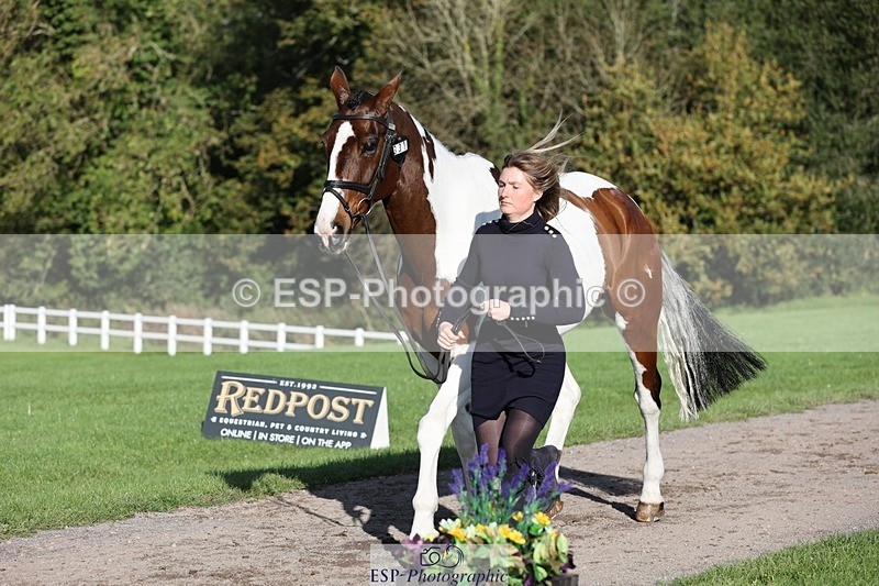 241027-095219-15552 - 331-Amber.Williams-COSMIC.MIKADO