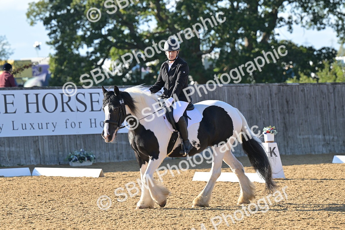 SBM_13020 - D3 - Small Tour Championship Intro 3