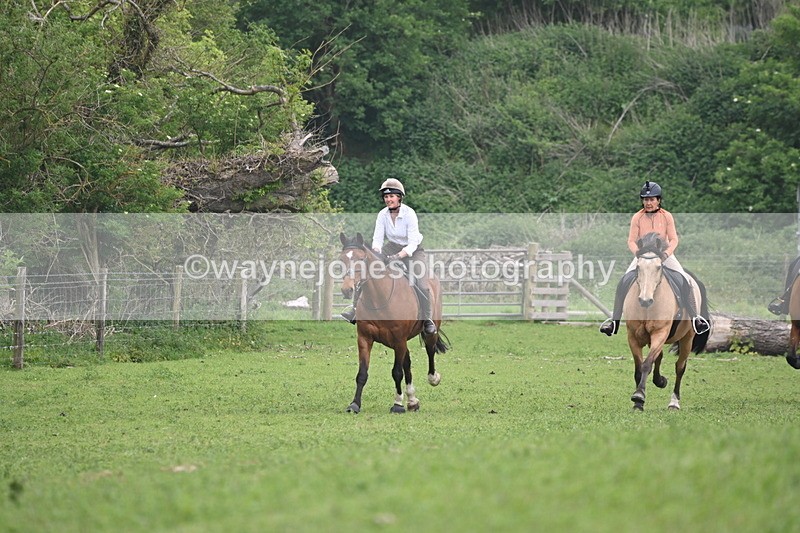 WJ6_2584 - A camera