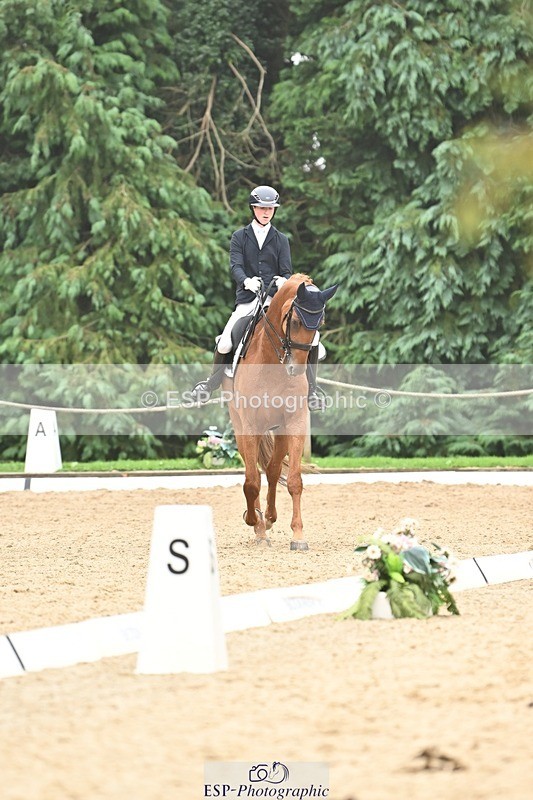 240811-113434-05207 - 208-Tom.Carter-Rubin.Regal