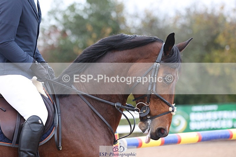 231112A-143518-04891 - Cls 21 Foxhunter & 1.20m Open