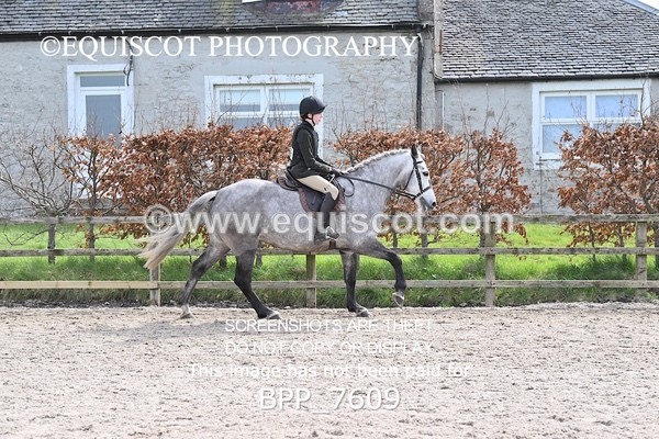 BPP_7609 - RING 1  (RIDDEN HORSES / IN HAND / VETERAN ETC)