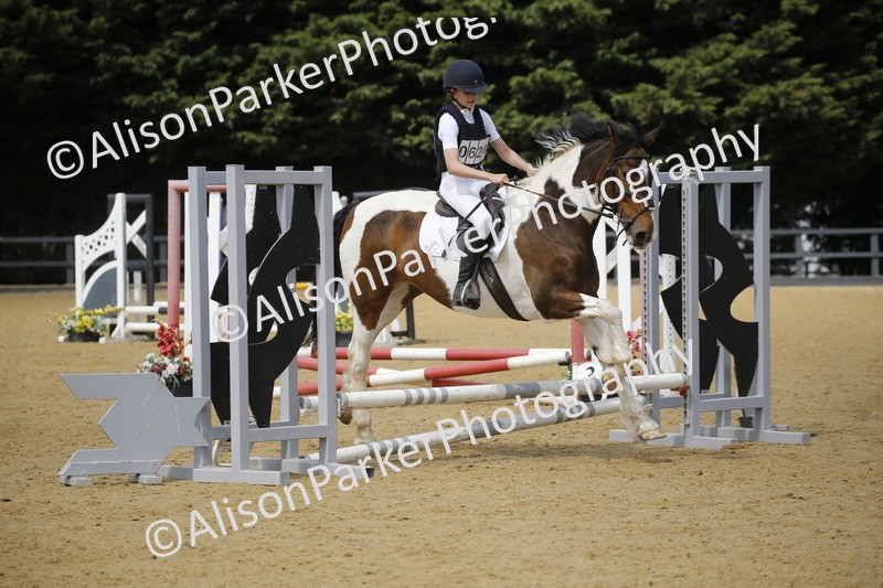 20250622-3886 - 50cm