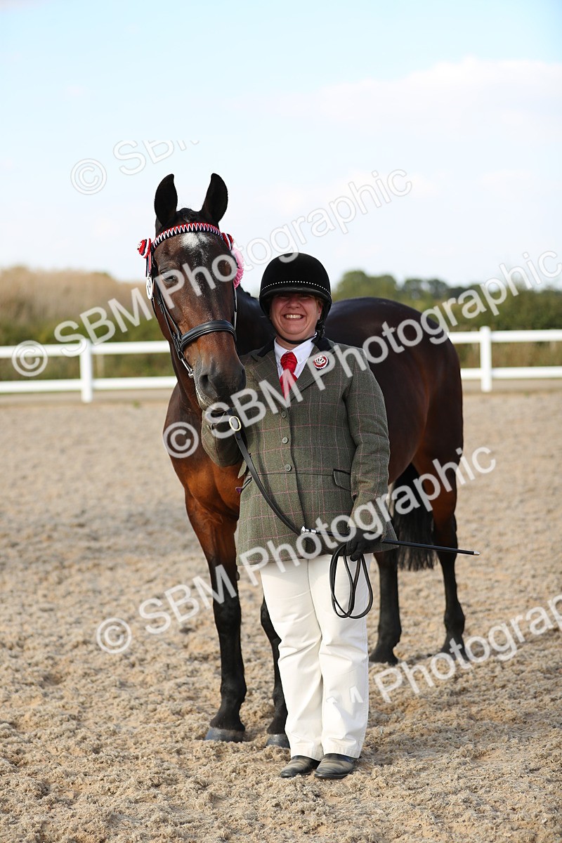 SBM_08700 - Class 28 - IH Veteran Horse