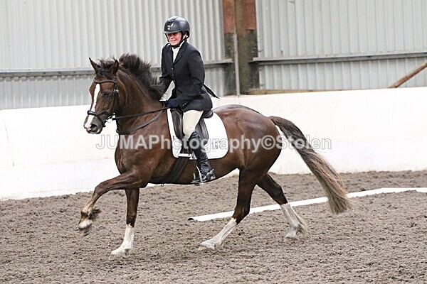 SIAL5053 - CAbin Dressage 5th july 2025