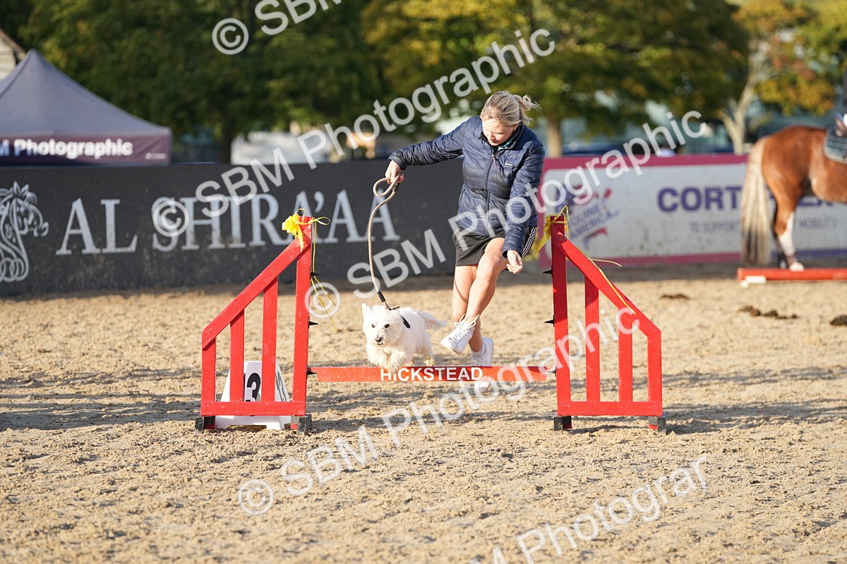 SBM_29424 - J44 - Horse & Hound Open 70cm