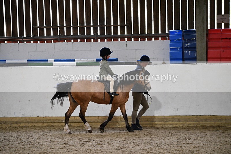 WJ5_6687 - Class 10 Childs Pony