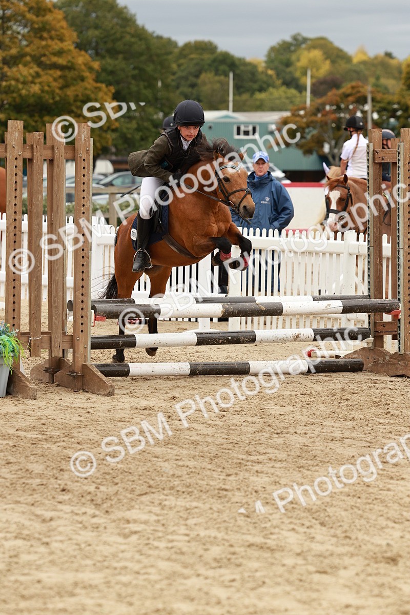 SBM_67020 - J13 - Junior Pony 60cm Championship