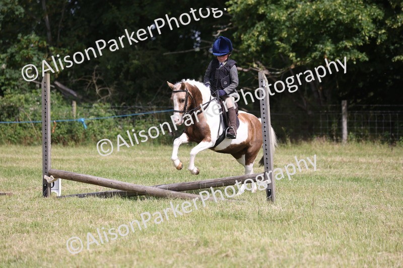 20260614-0681 - Class 20 - Beginners Working Hunter Pony