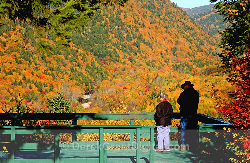 Crooked Creek New Brunswick Autumn Foliage Canada - Autumn Foliage