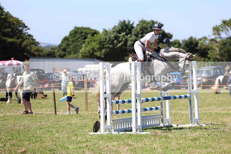 3E7A5582 - Class 9: Senior British Novice/90cm open