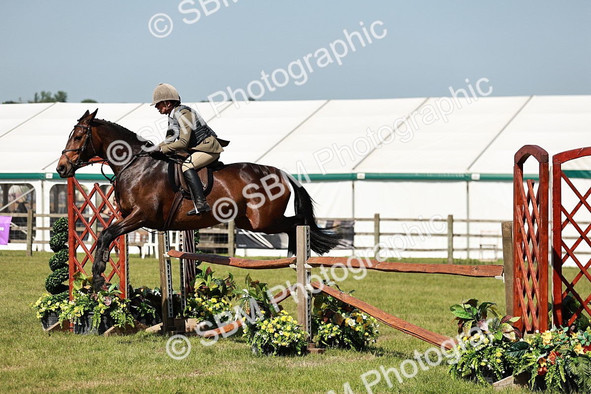 SBM_18355 - Class 112-113 - BSPS LIHS Working Sports Pony