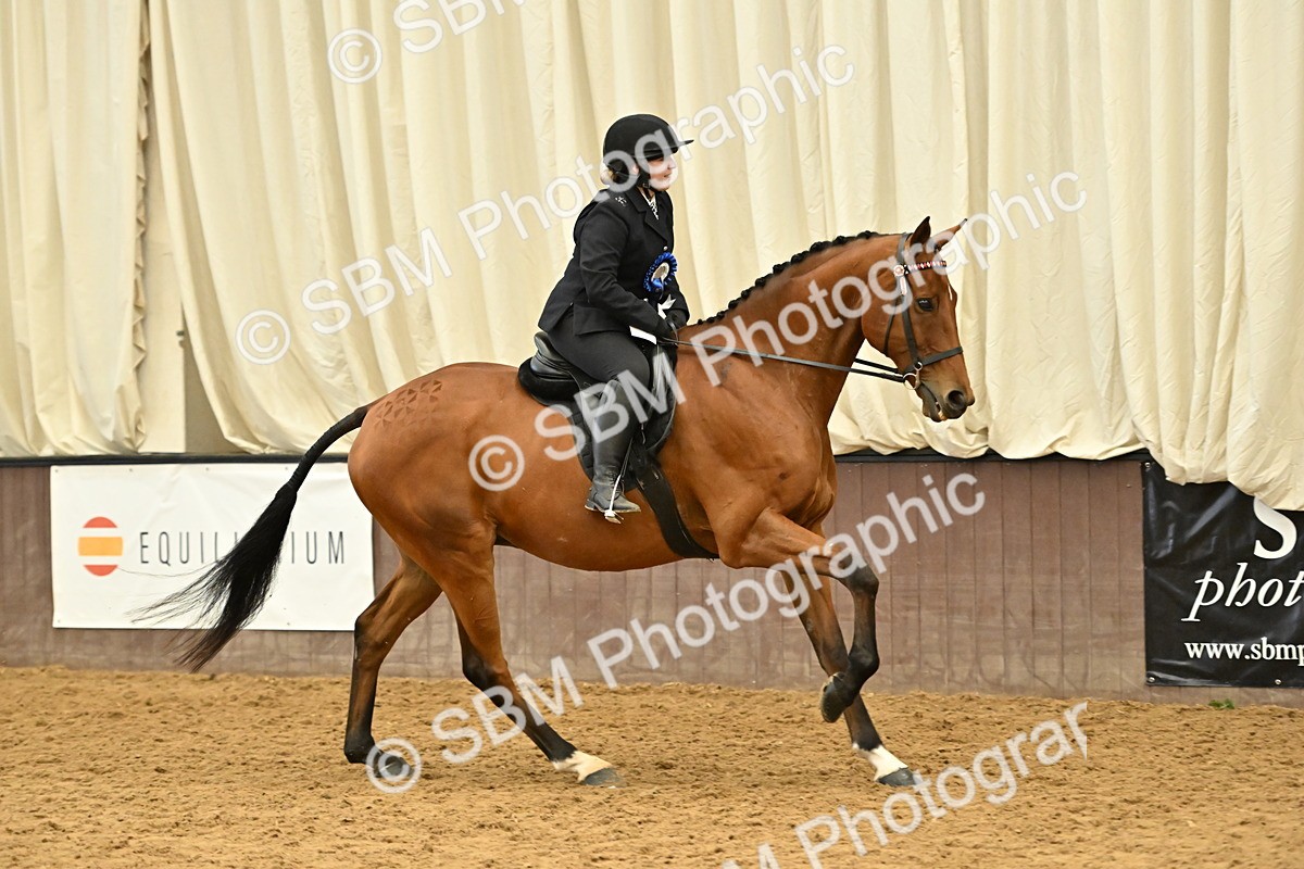 SBM_002014 - Class 24 - BSHA Ridden Racehorse to Show Horse