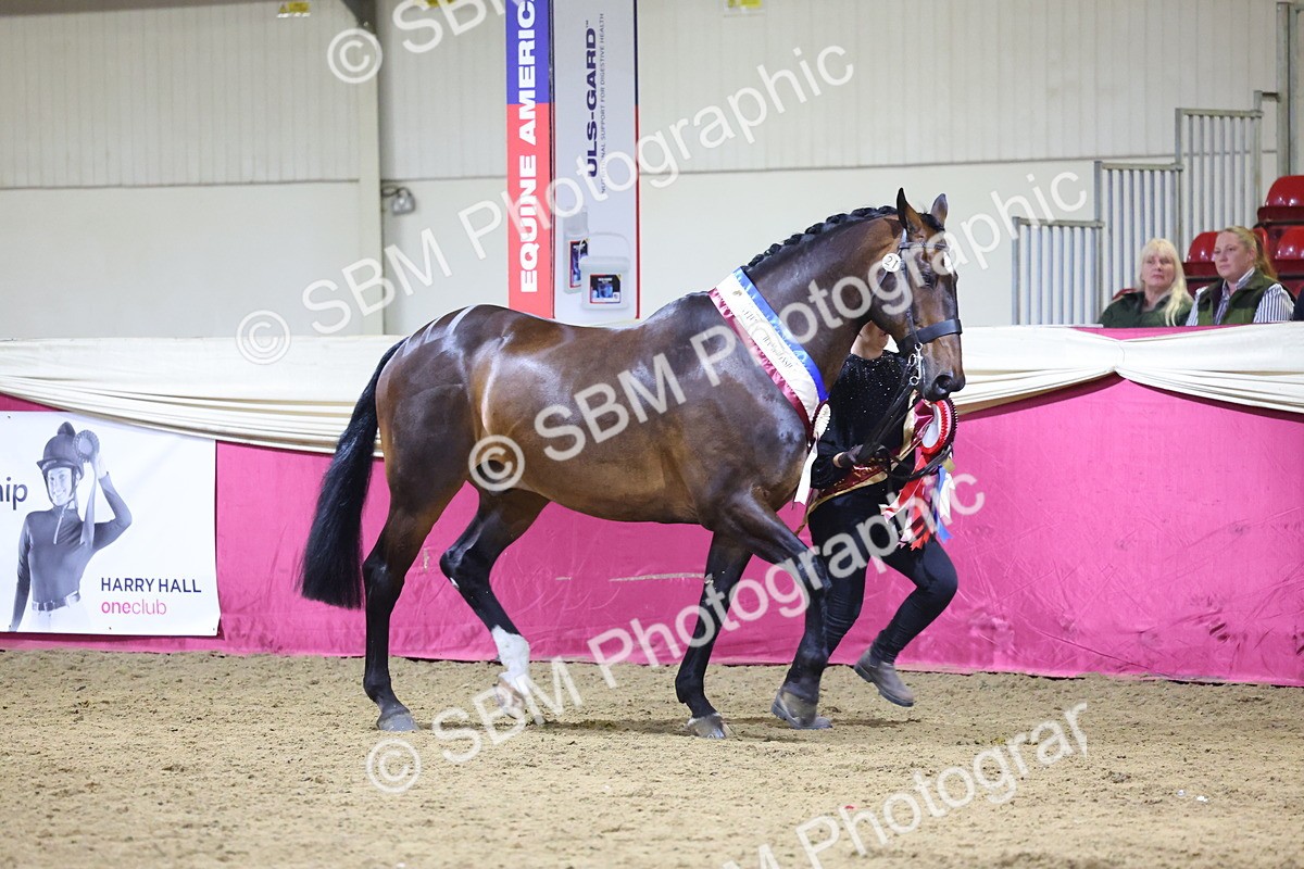 0B8A4561 - Class P Veteran Champ