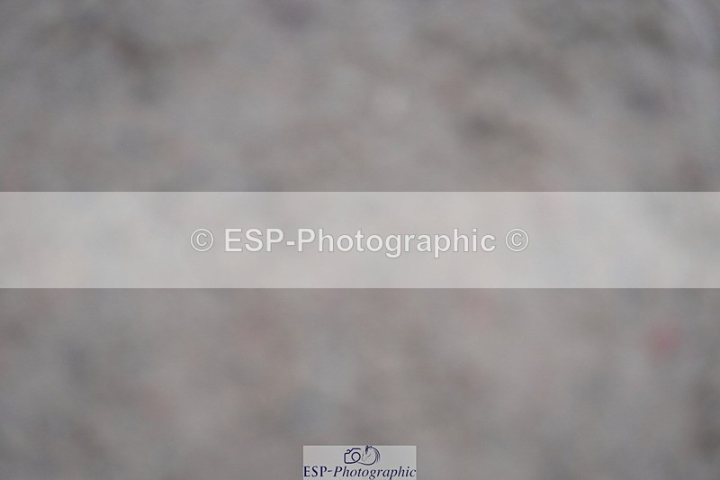 231017A-142422-07358 - Cls 29 Snr Foxhunter