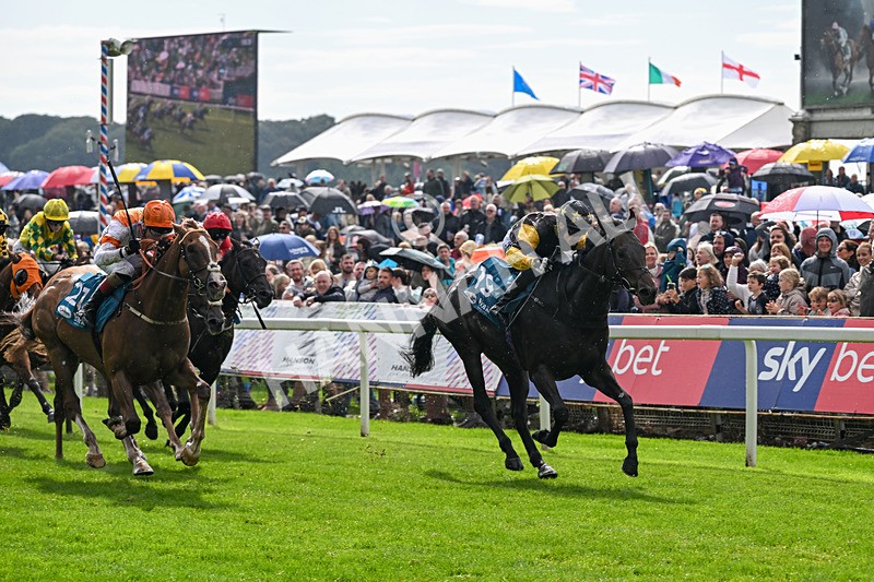 060926-Race 2-Oriental Prince-7211 - Race 2 2.05pm Fine Details Car Valeting Sprint Handicap