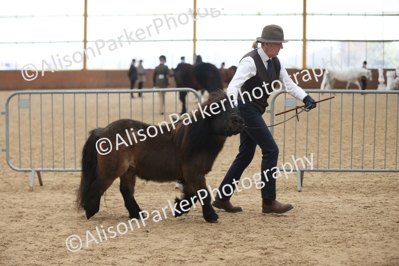 20251109-0373 - Class 14 - Geldings 4 Years and Over