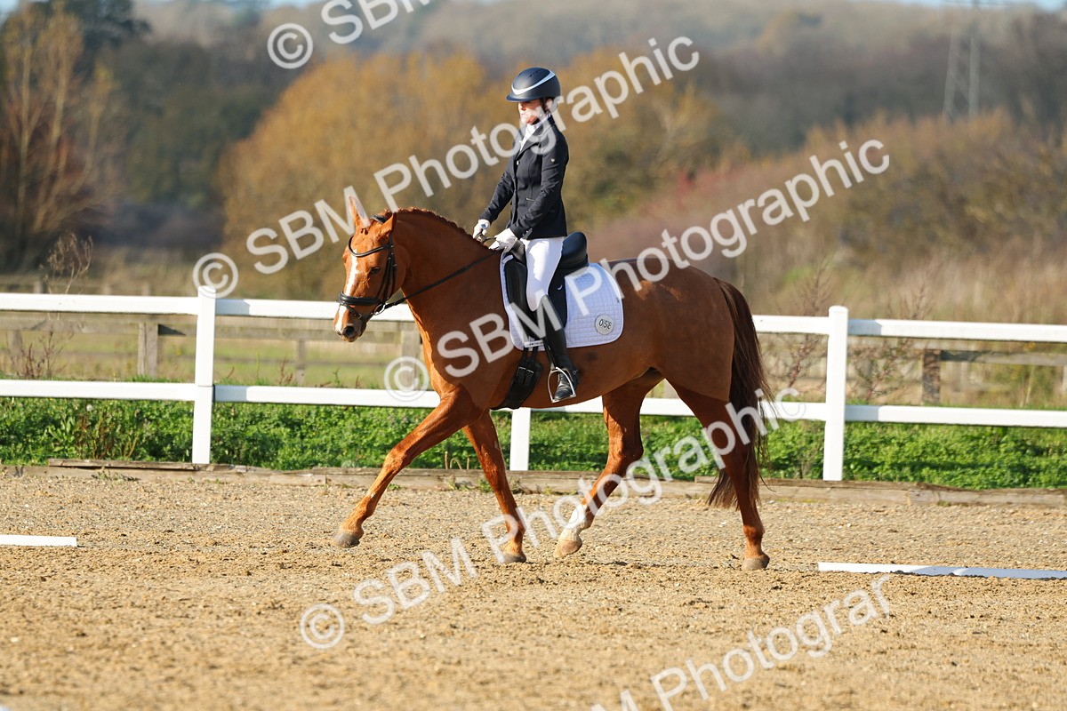 1I0A5213 - Class 5 - Novice 5