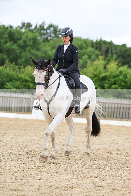 3E7A0802 - Class 6: Novice 1 2024 Section B