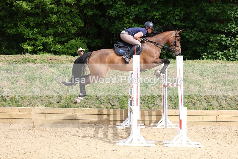 3E7A7738 - Class 8: Senior Foxhunter/1.20 open