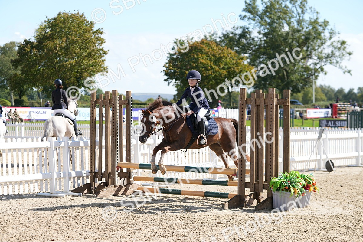 SBM_44387 - J7 - Junior Pony 60cm Championship