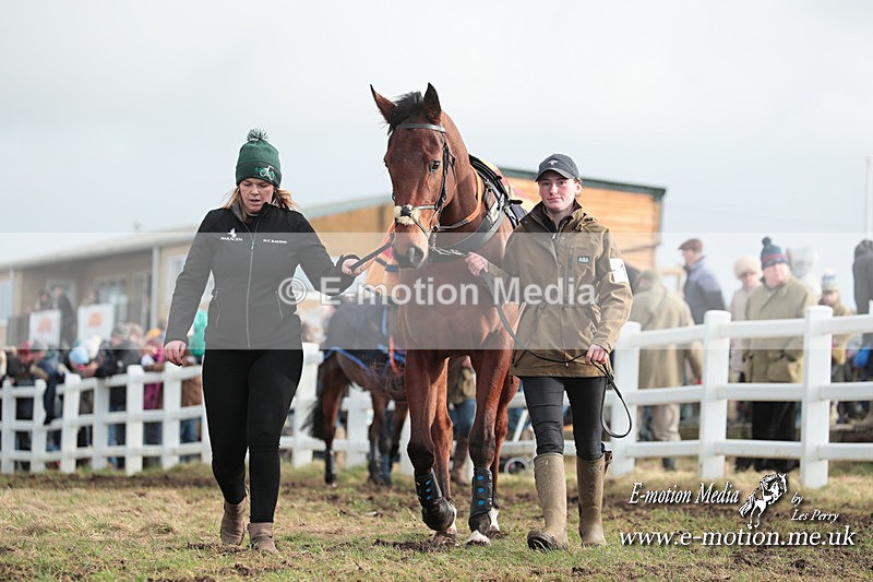 PtP 311223 379 - Larkhill Racing Club Point-to-Point 31/12/23