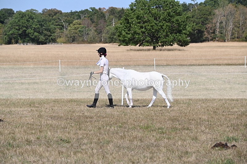 WJ6_9421 - Class 40 Cheekiest Pony/Horse