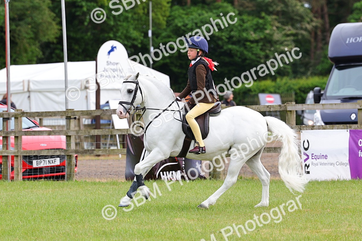 SBM_09588 - Class 44-45 - LIHS BSPS Open Nursery and Cradle Stakes
