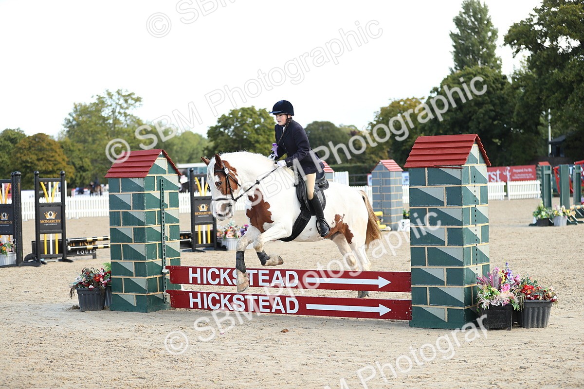 SBM_37327 - J20 - Junior Horse 50cm Championship