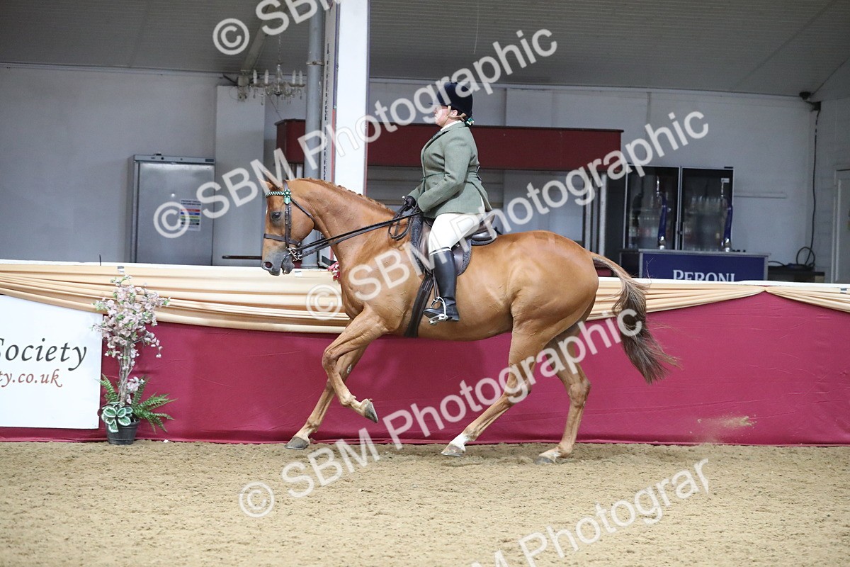 SBM_12346 - Class 108 Ridden Retired Racehorse- Pre Judging