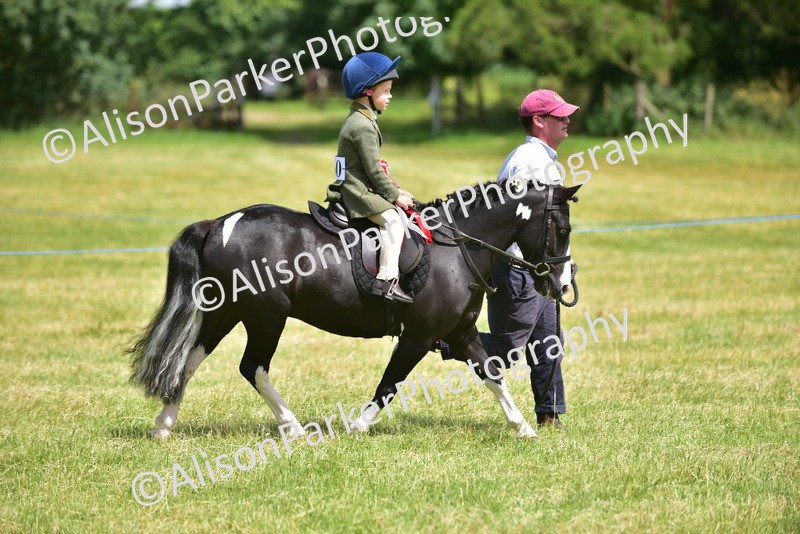 20260614-1426 - Class 11b - Lead Rein Pony (Plaited)
