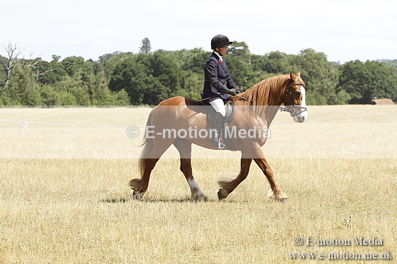 _BS_0724 - BVRC Show 2018 Ring 1