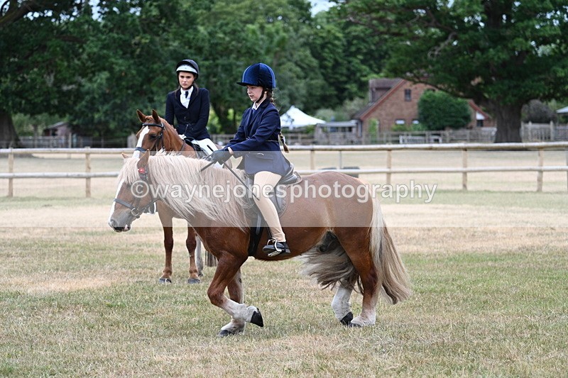 WJ7_0445 - Class 2 Best rider